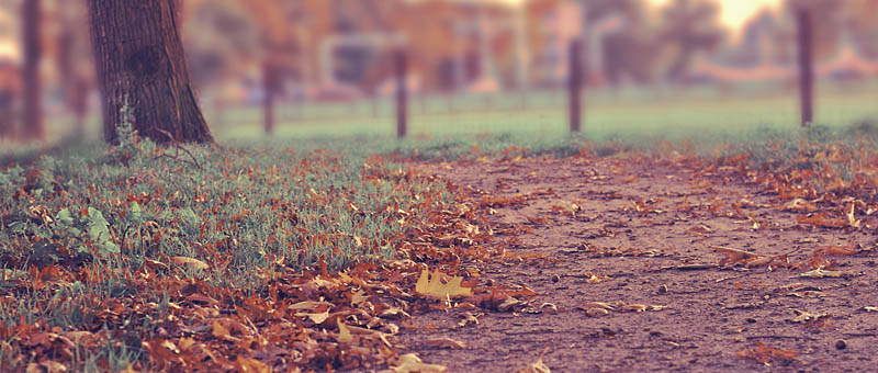 云呼手机号测压网页版